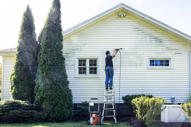 Local Pressure Washing Services in Osprey, FL